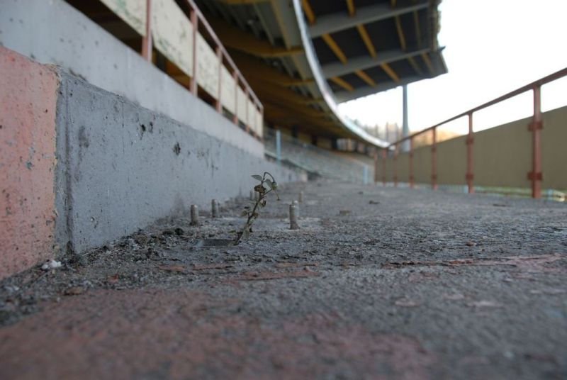 Steh auf wenn Du ein Schalker bist...