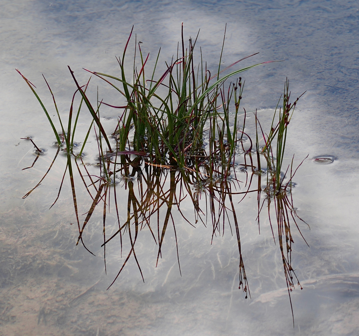 stehe im Wasser