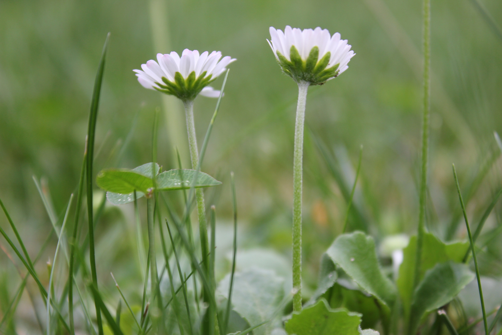 Stehen und Warten