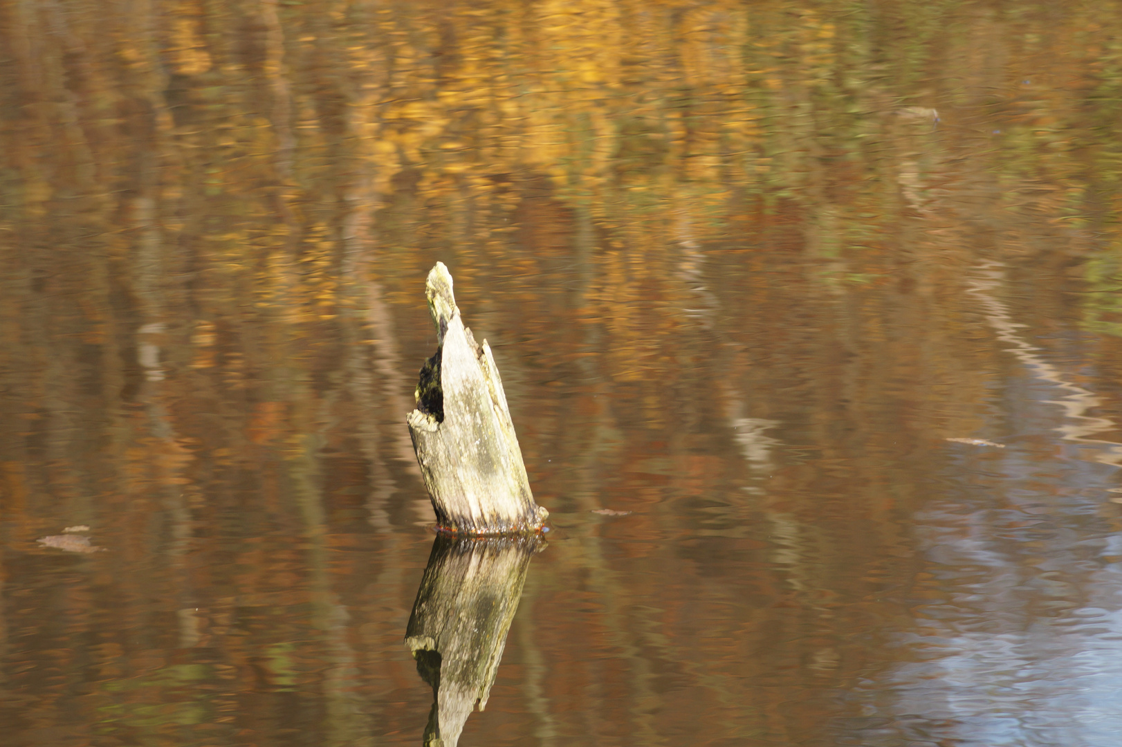 Stehende Wasser