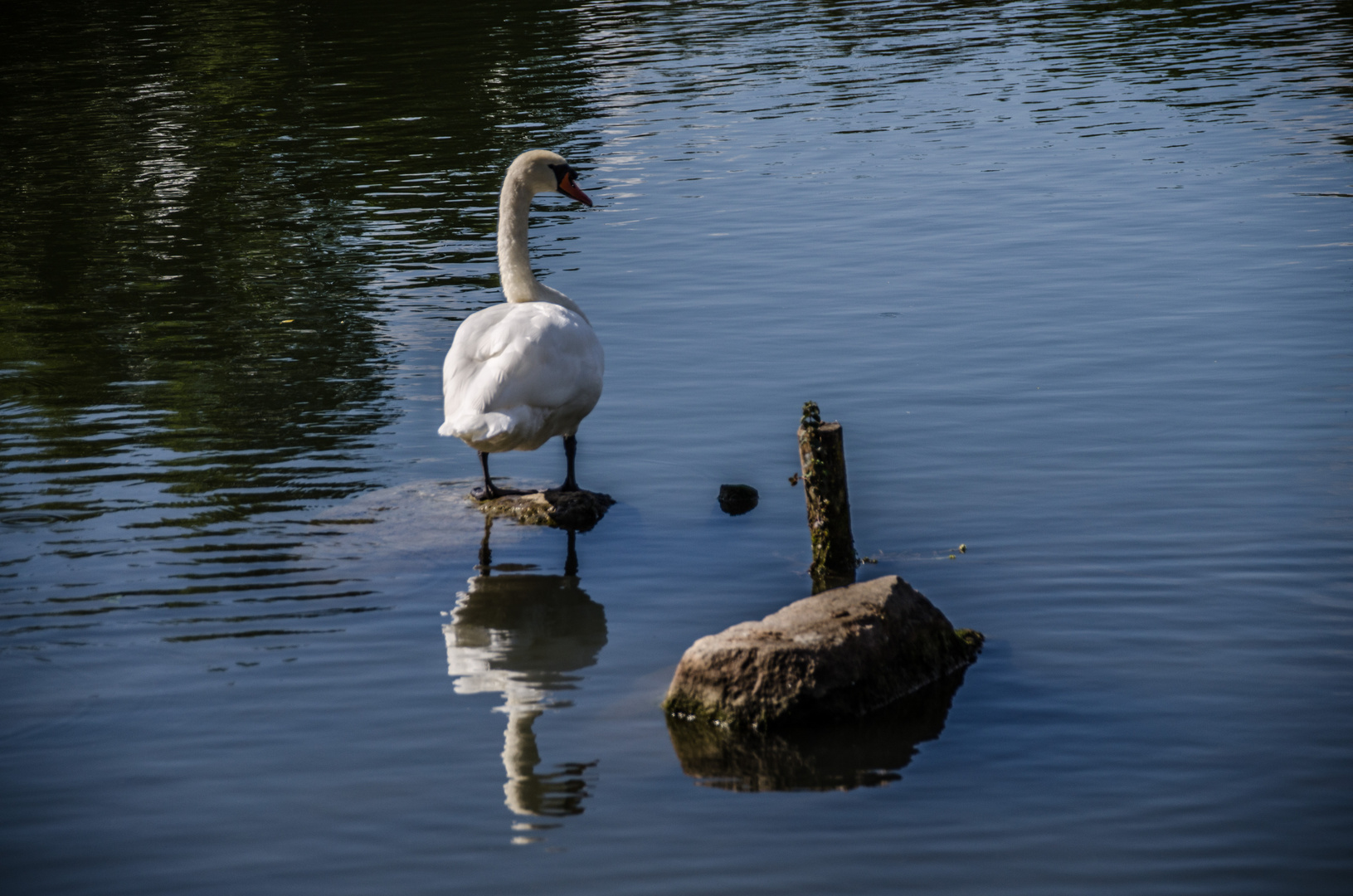 Stehplatz Stehplatz