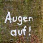 ....... steht auf dem Baum.