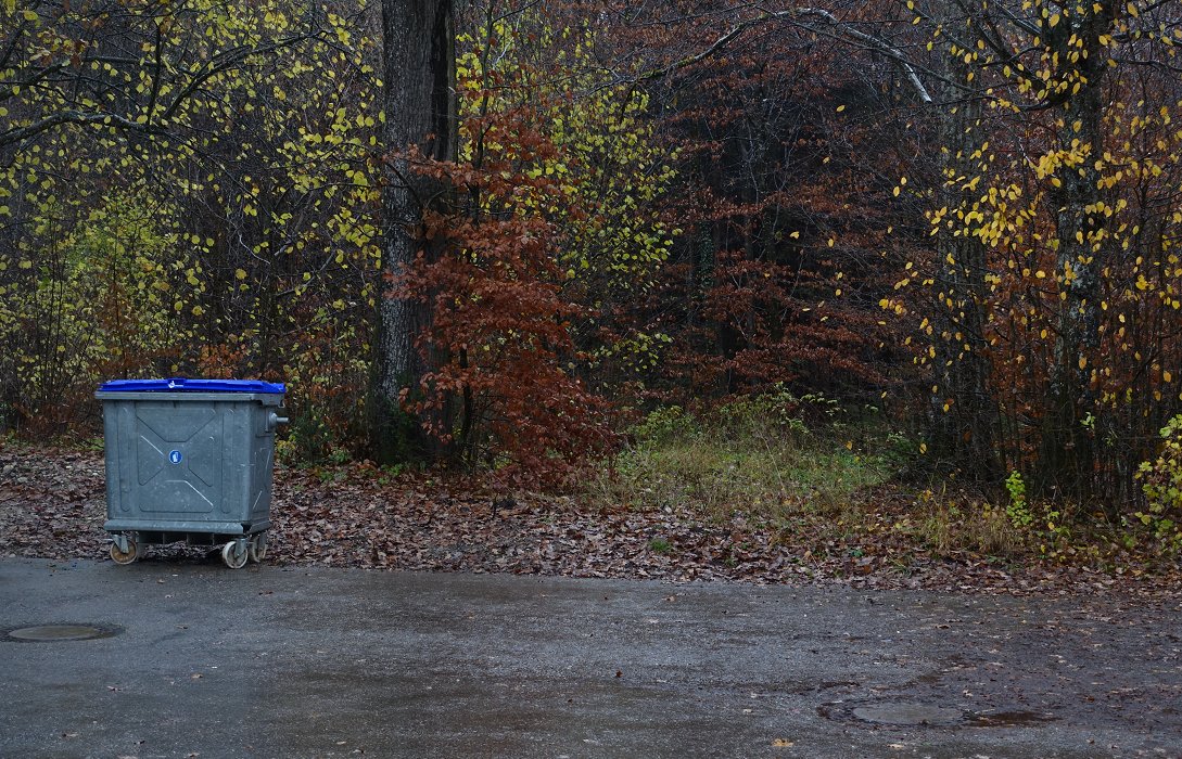 Steht ein Müllcontainer am Waldrand