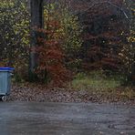 Steht ein Müllcontainer am Waldrand