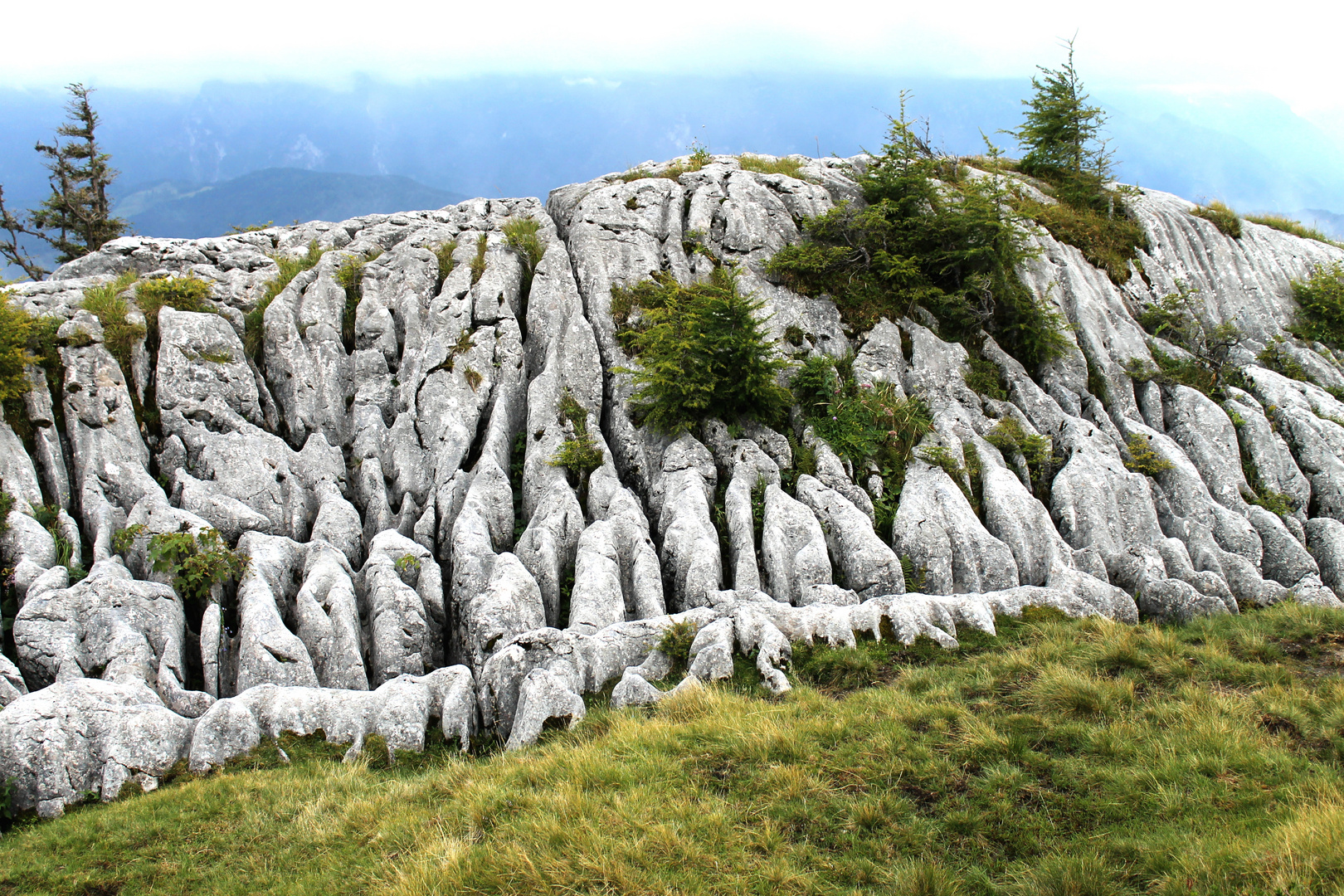 Stehter Tropfen