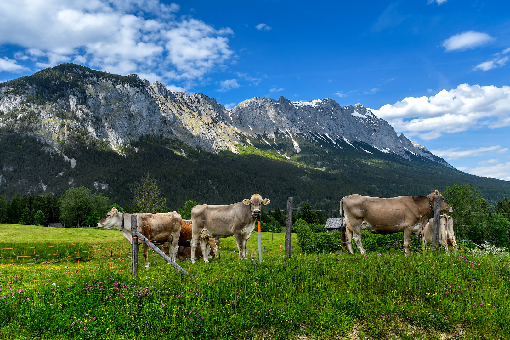 Steiermark