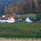 Steiermark im Herbst