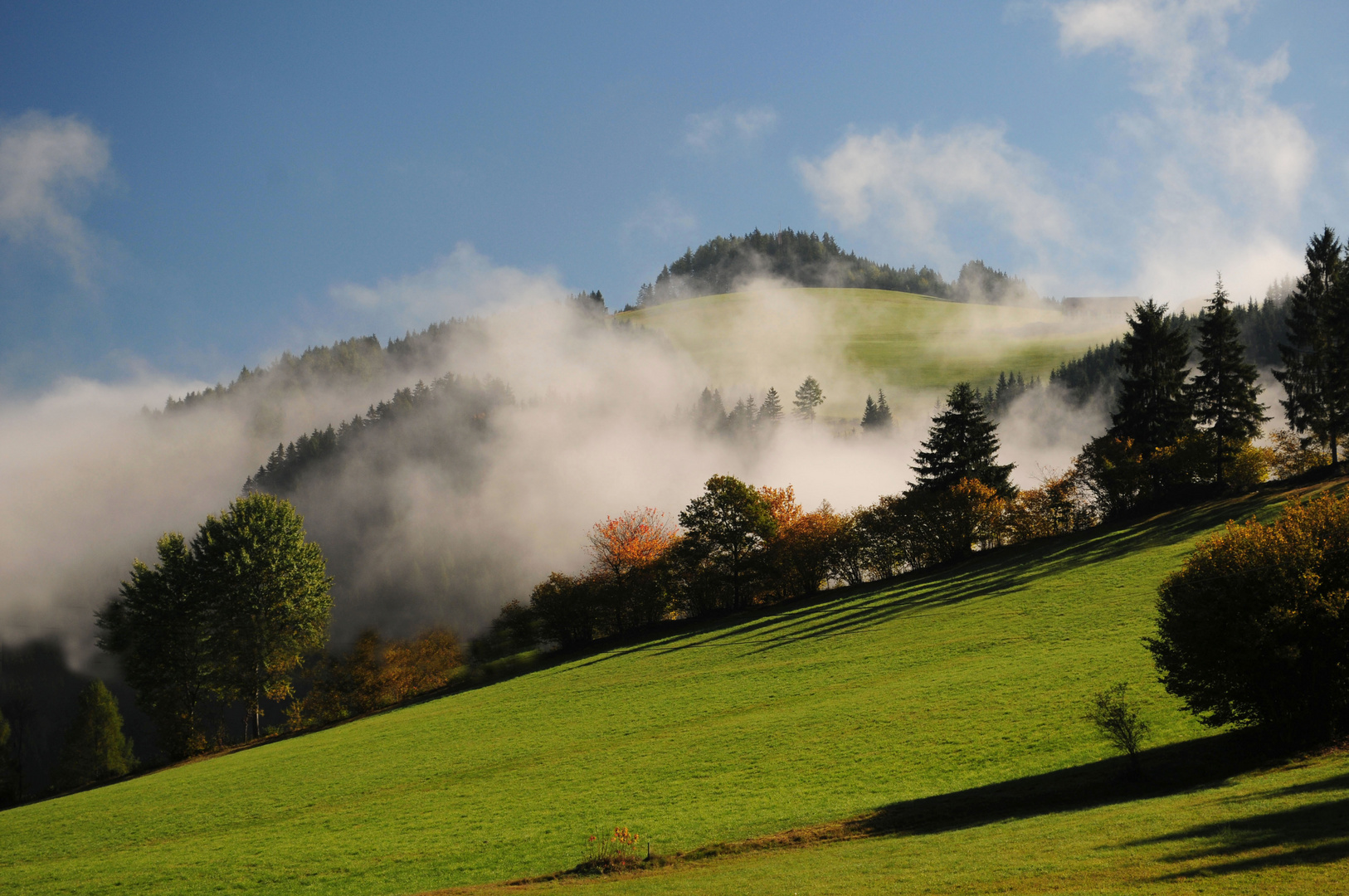 Steiermark Mitte,