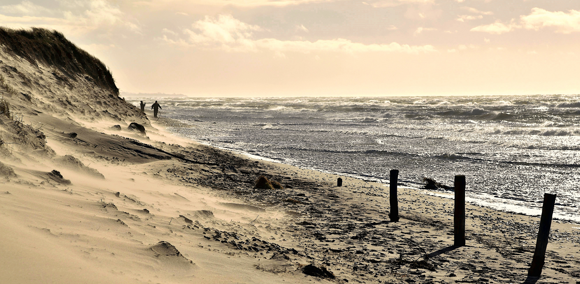 Steife Brise am Weststrand bei Prerow