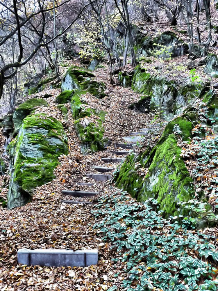 Steig im Mittelrheintal