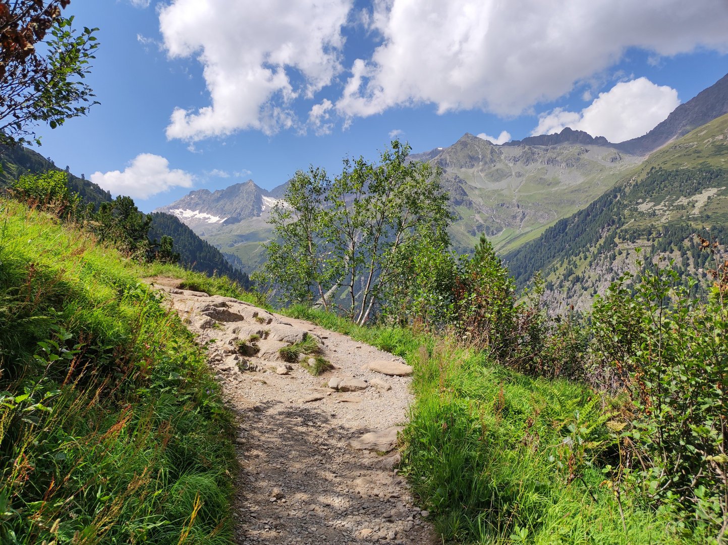 Steig zur Sulzenaualm