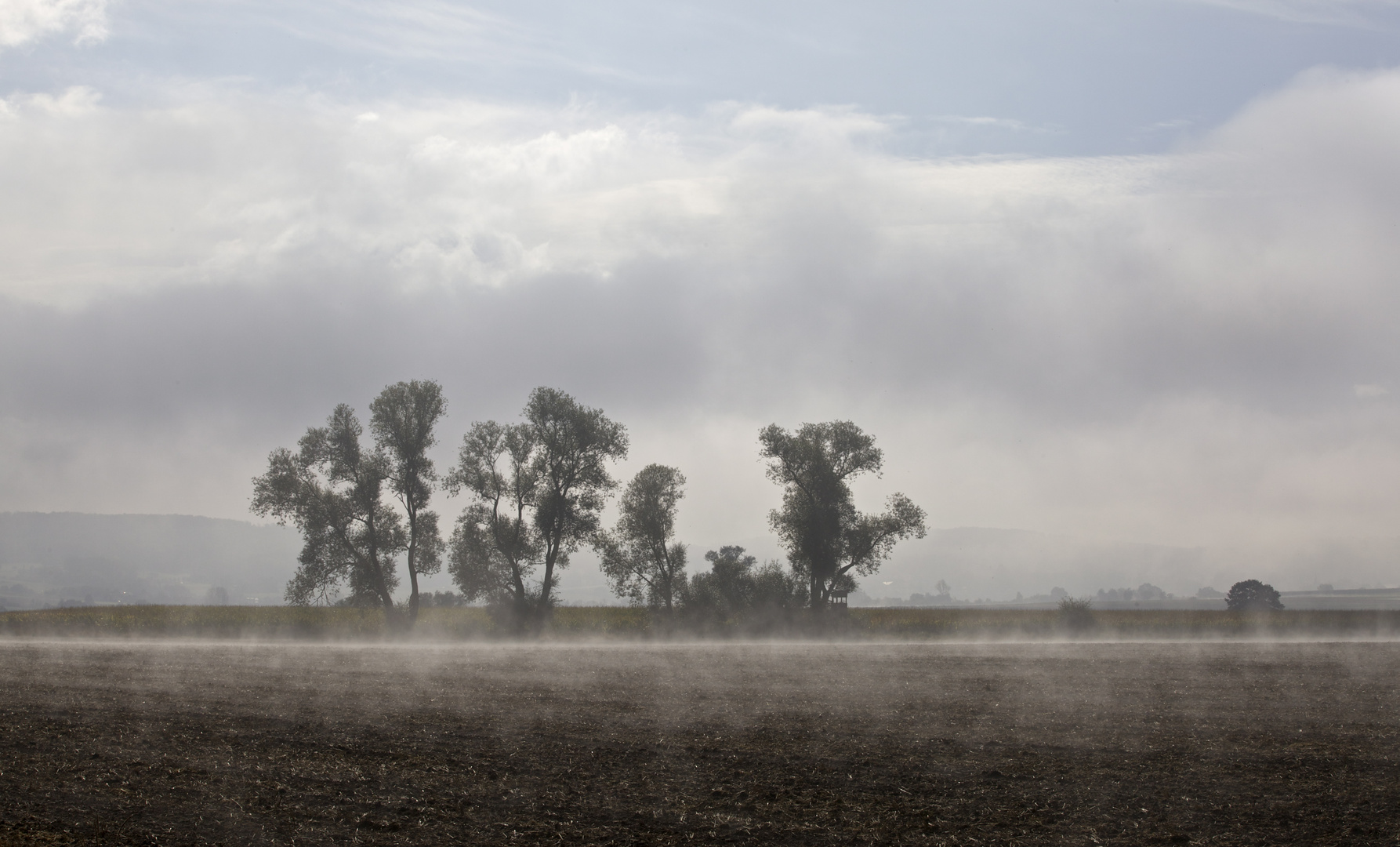 Steigende Nebel