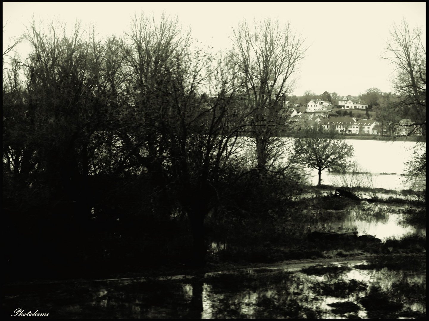 Steigendes Wasser am Rhein (II)