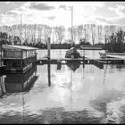 Steigendes Wasser am Rhein (III)