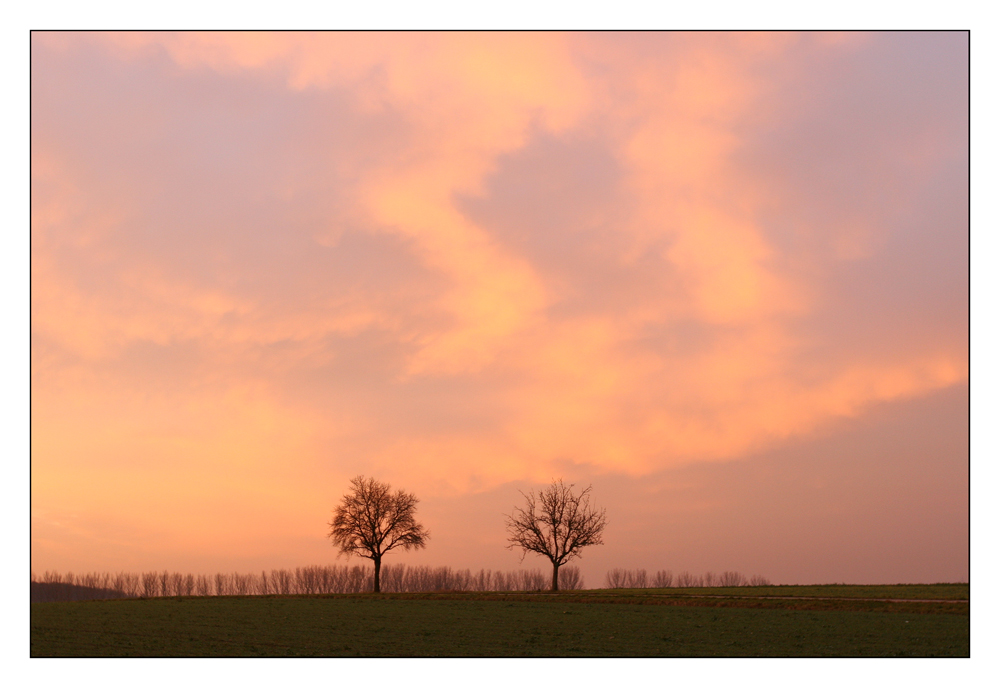 Steigerwälder Morgenröte