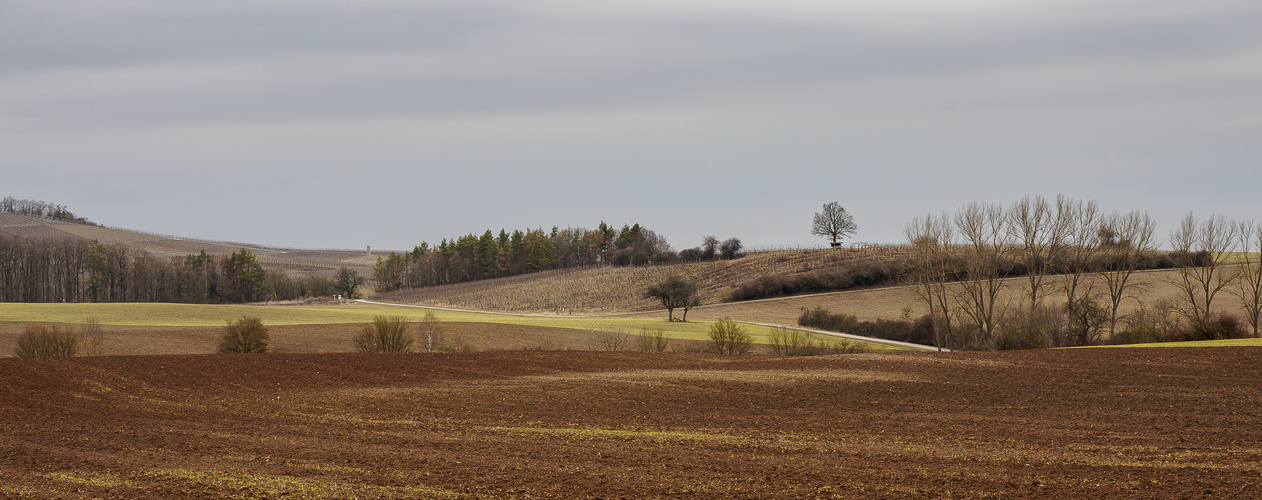 Steigerwald