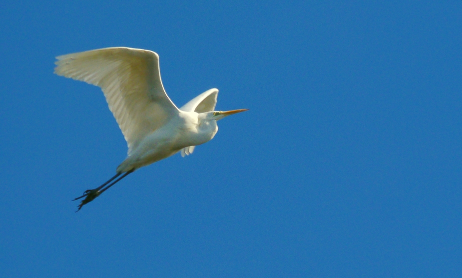 Steigflug