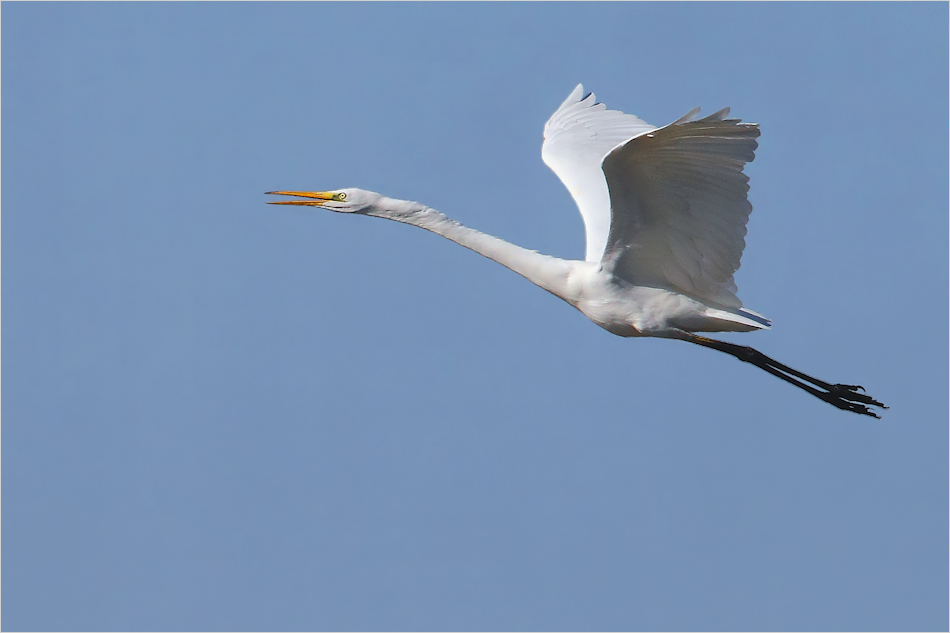 Steigflug