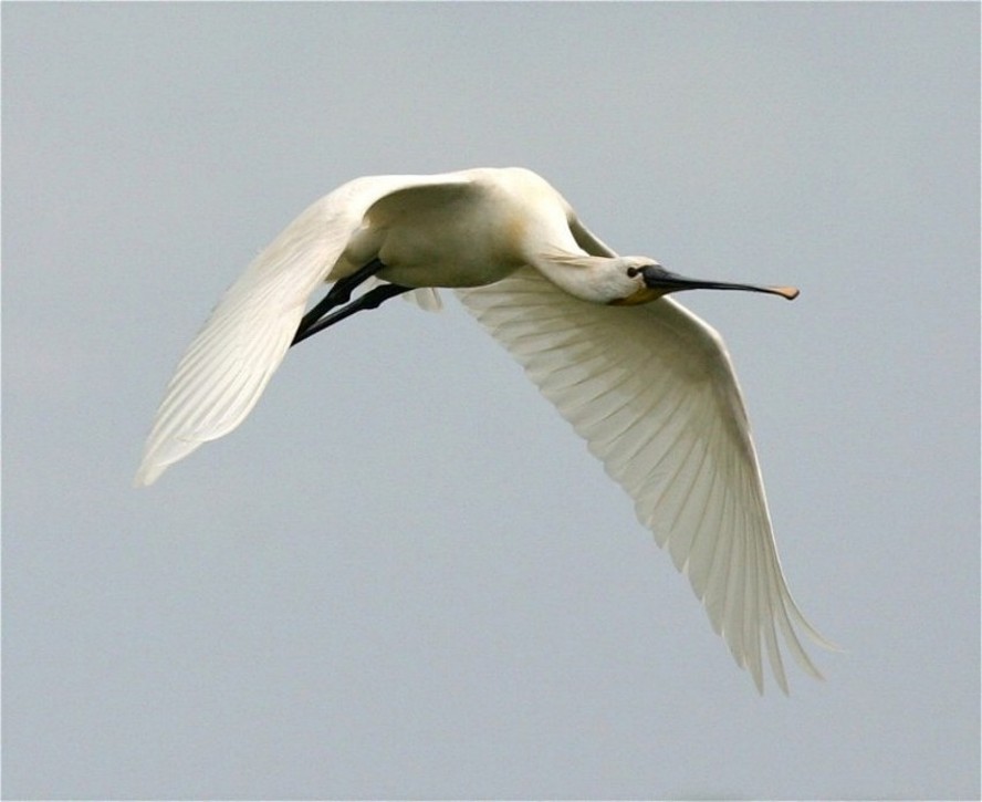 Steigflug aus engem Graben