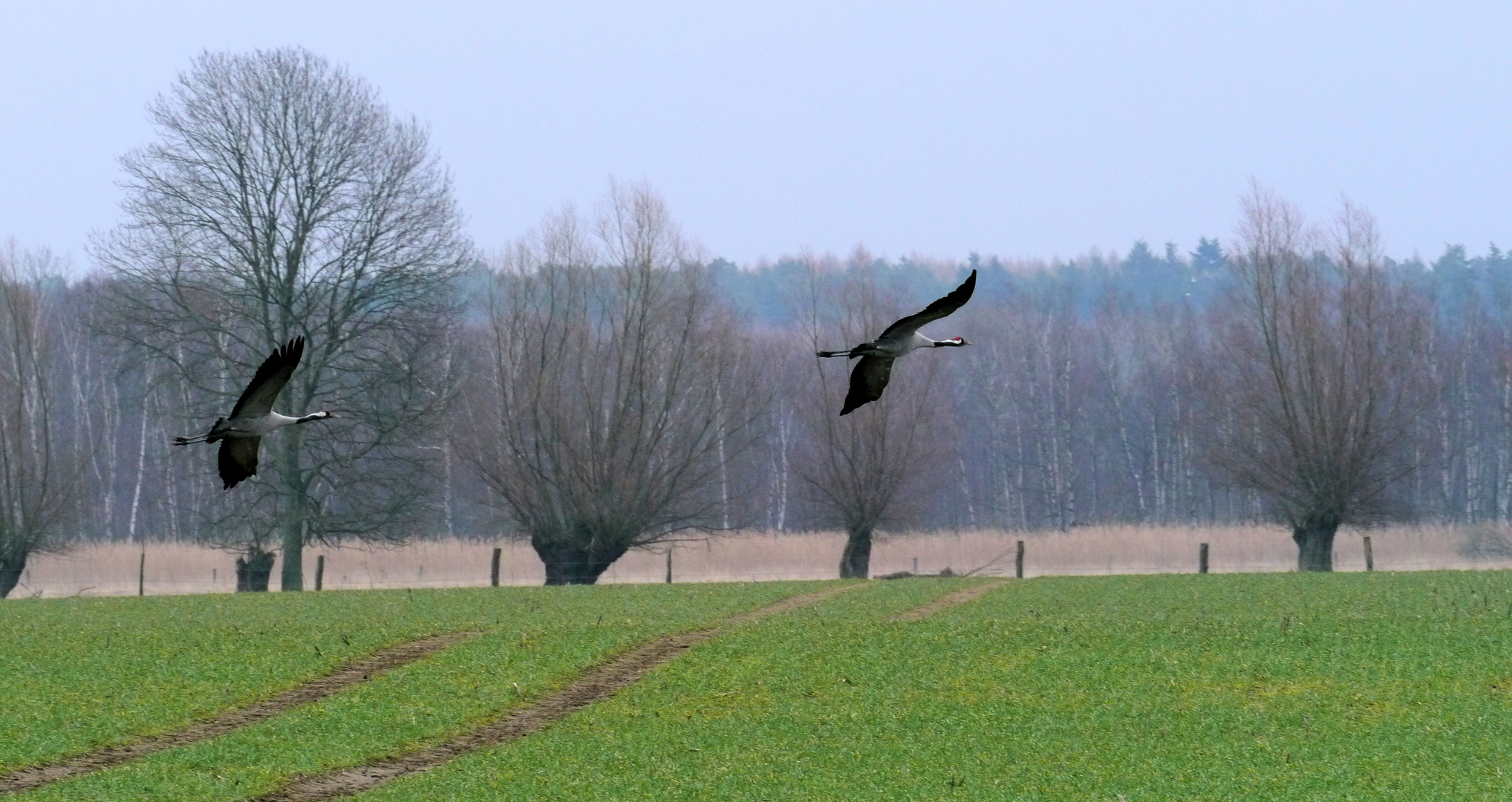 Steigflug