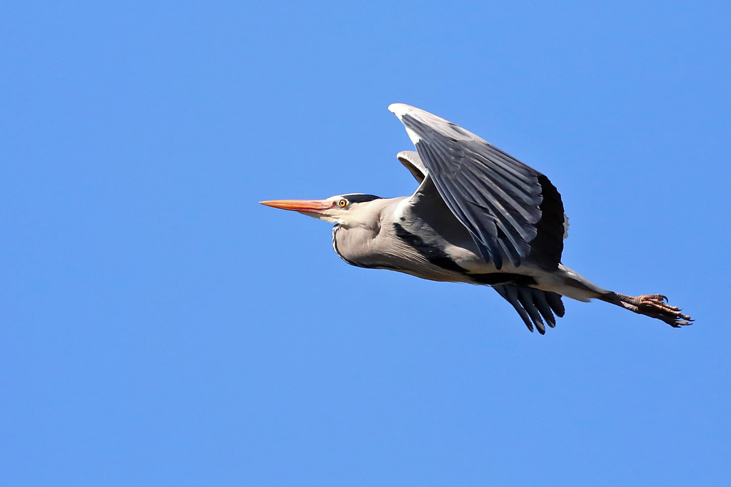 Steigflug