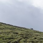 Steiglpass Gosaukamm