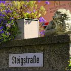 Steigstraße