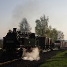 Steigung vor dem Bahnhof Bertsdorf