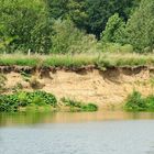 Steil- bzw. Prallhang am Ufer der Lippe zwischen Stockum und Werne.