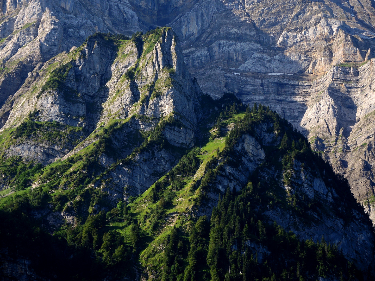 Steile Wände überm Klöntaler See GL Schweiz