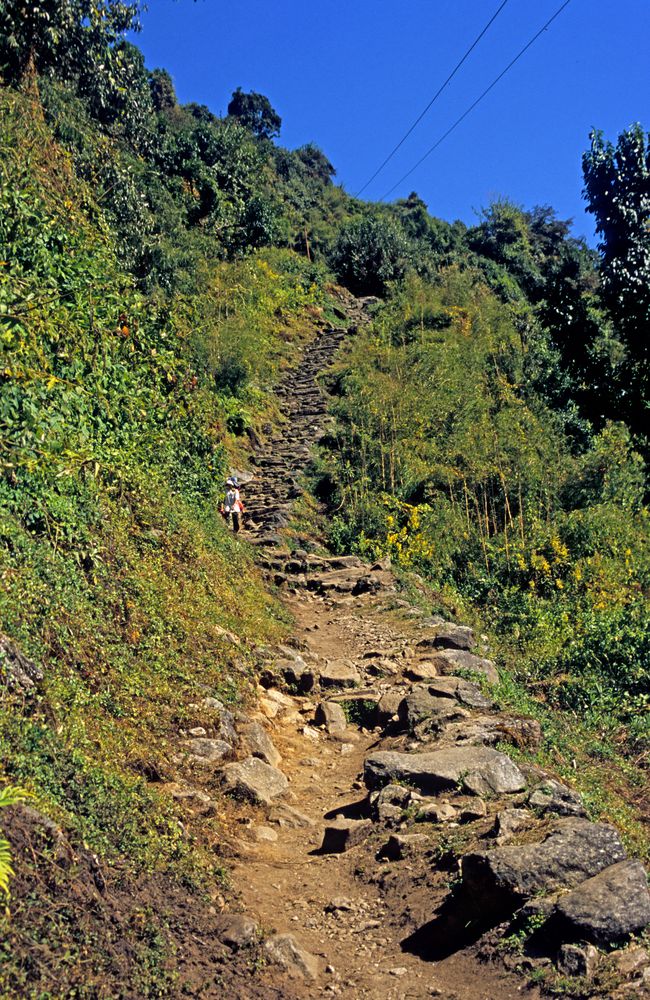 Steiler Aufstieg beim Annapurna Base Camp Trek