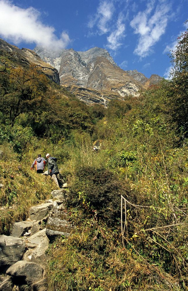 Steiler Aufstieg beim Annapurna Base Camp Trek (A.B.C.)