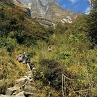Steiler Aufstieg beim Annapurna Base Camp Trek (A.B.C.)
