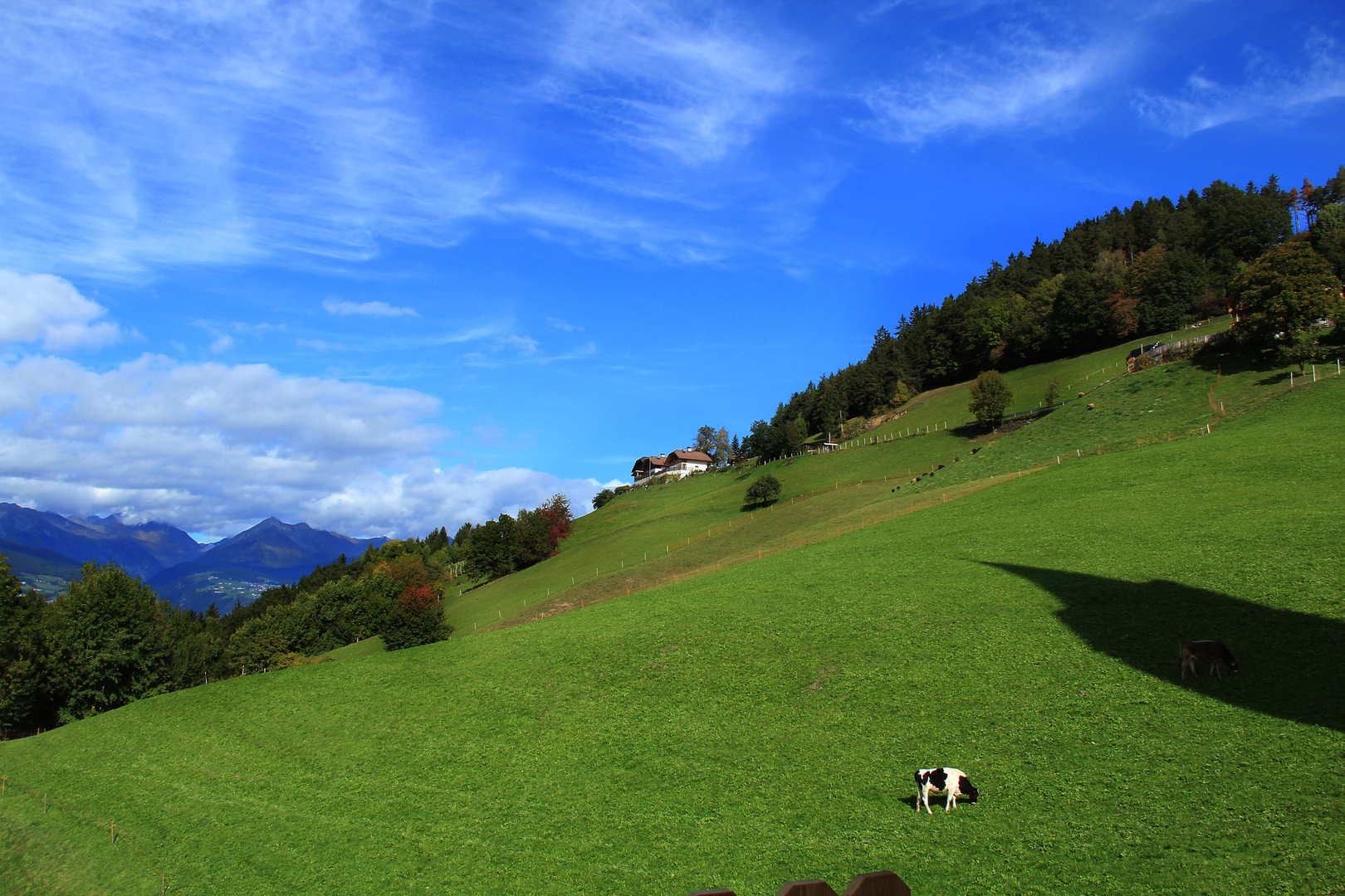 Steilhang über Brixen