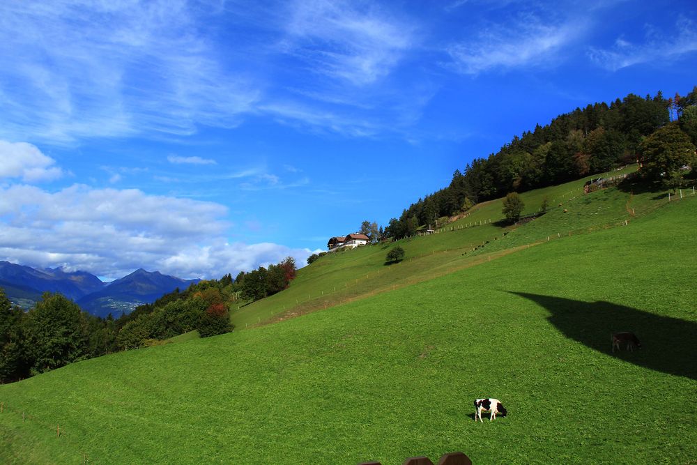 Steilhang über Brixen von Tove---- 