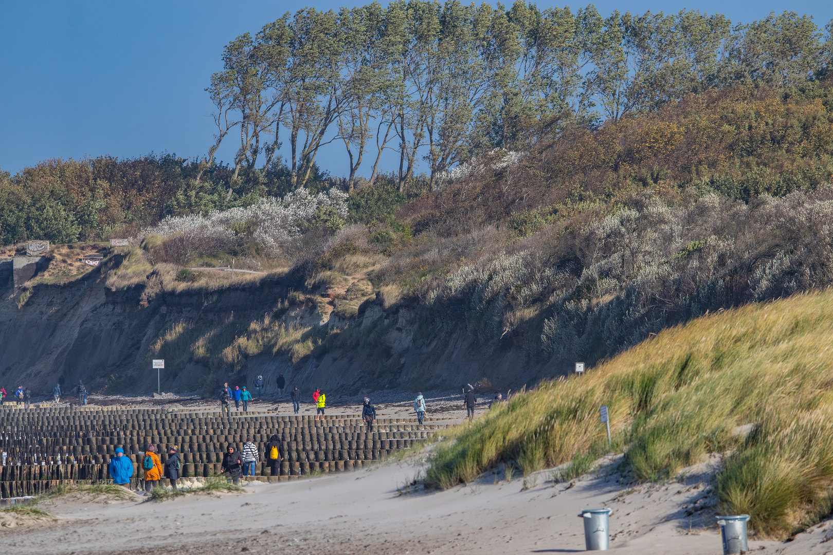 Steilküste Ahrenshoop Fischland