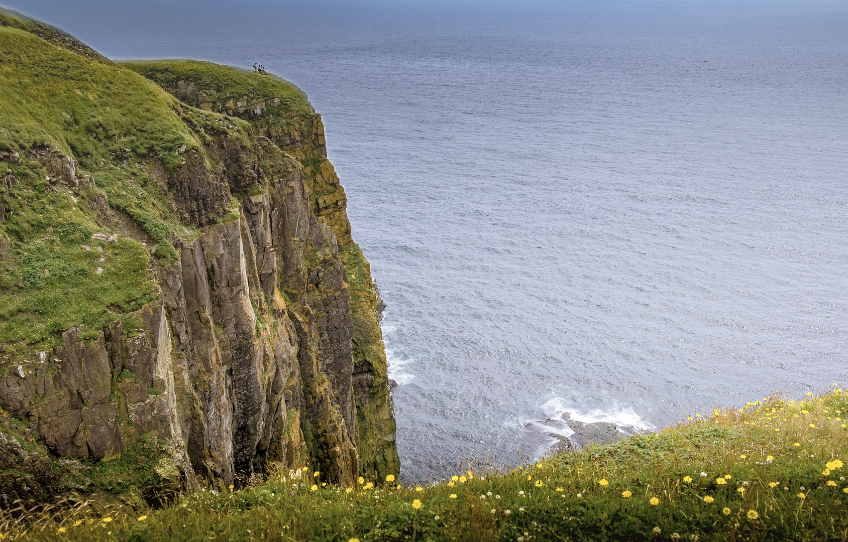 Steilküste am Cape St.-Mary´s