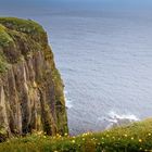 Steilküste am Cape St.-Mary´s