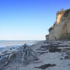 Steilküste am Enddorn Insel Hiddensee