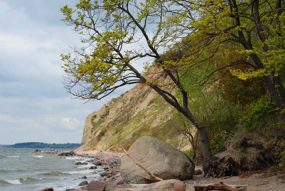 Steilküste am Mönchgut (Rügen)