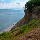 Steilküste an der Ostsee nahe Travemünde