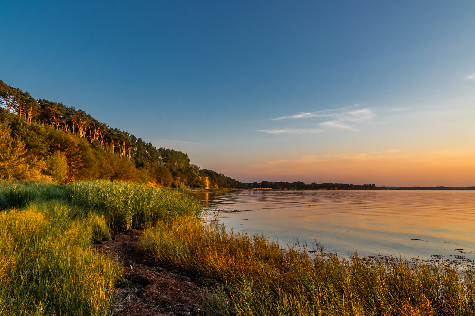 Steilküste an der Wohlenberger Wiek im Abendlicht