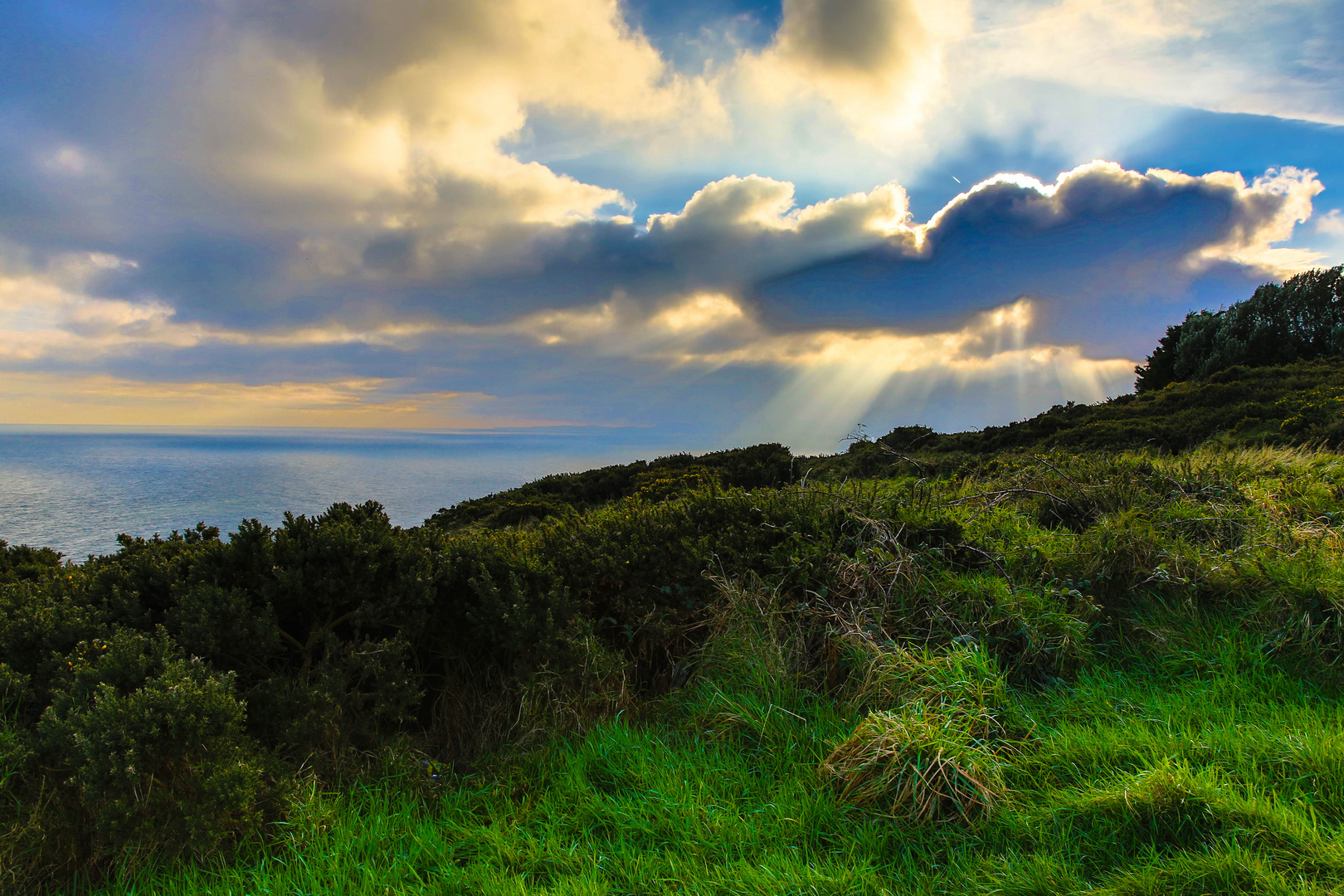 Steilküste auf der Halbinsel Howth