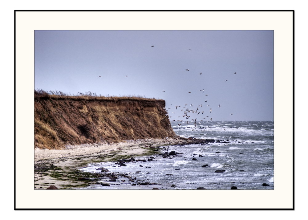 Steilküste auf Fehmarn