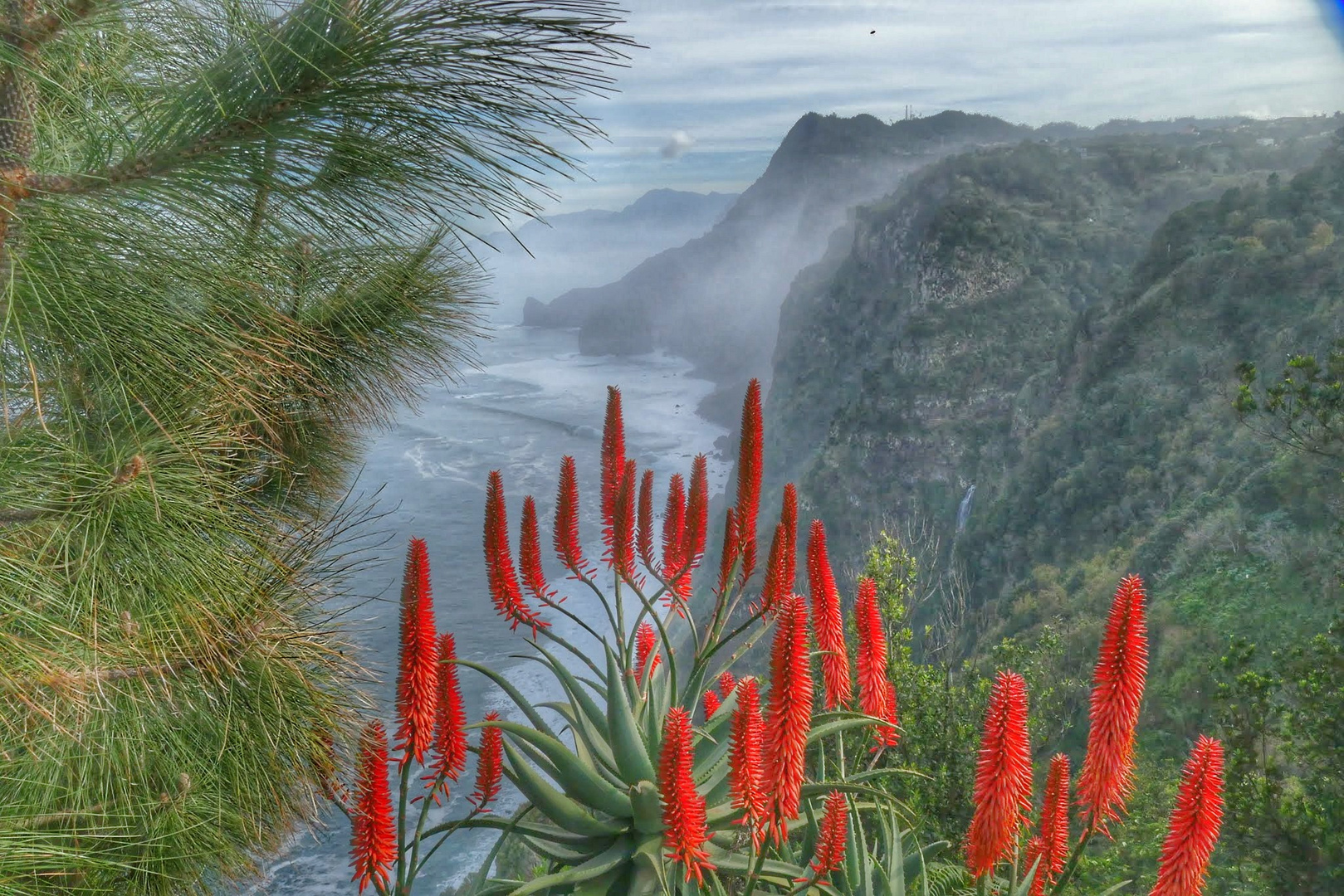 Steilküste auf Madeira 