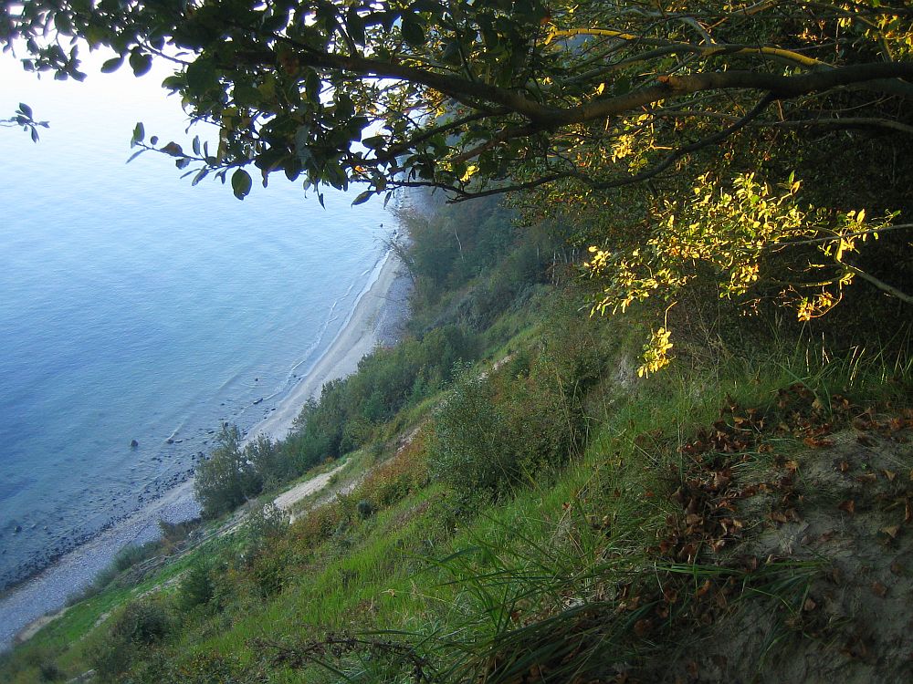 Steilküste auf Rügen