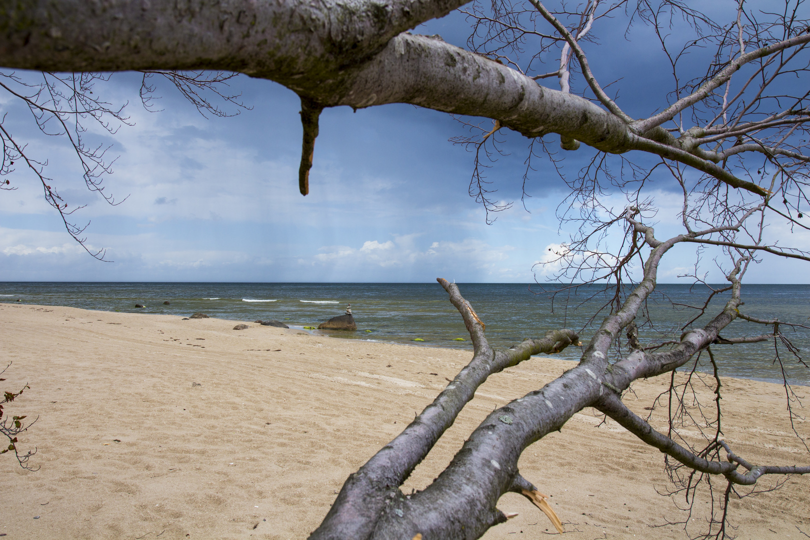 Steilküste  Bansin auf Usedom