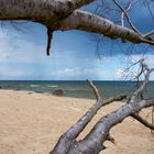 Steilküste  Bansin auf Usedom