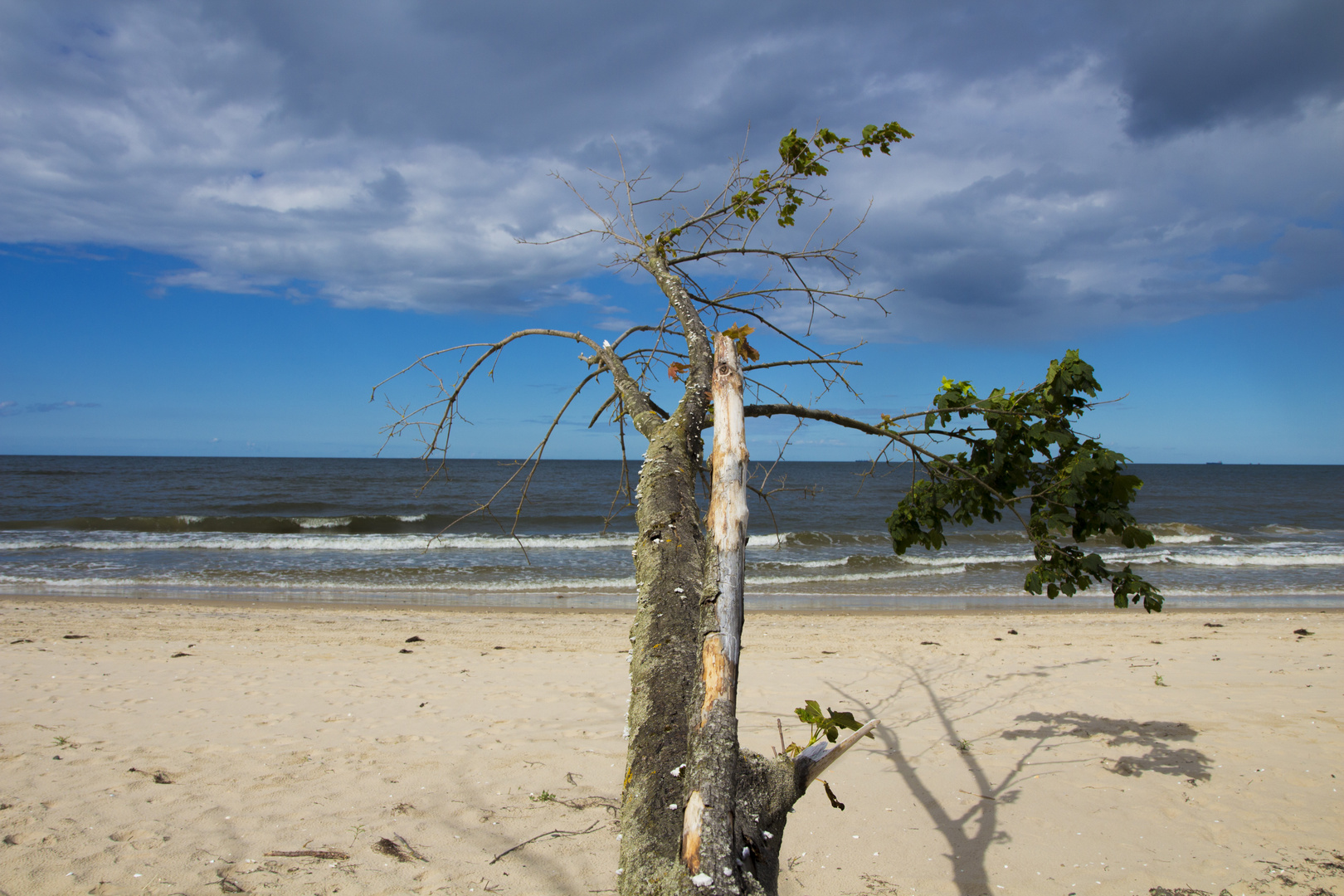 Steilküste  Bansin auf Usedom