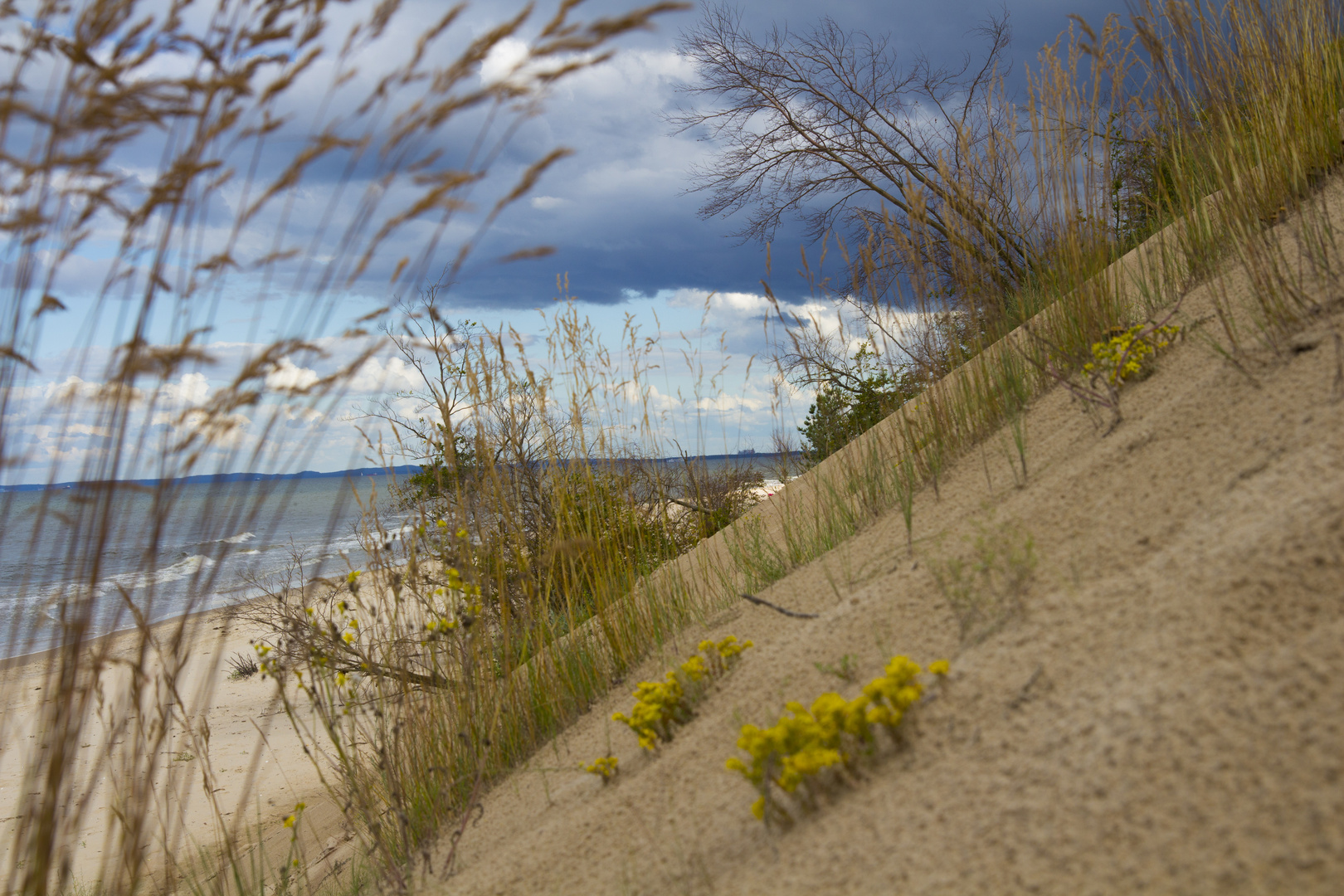 Steilküste  Bansin auf Usedom